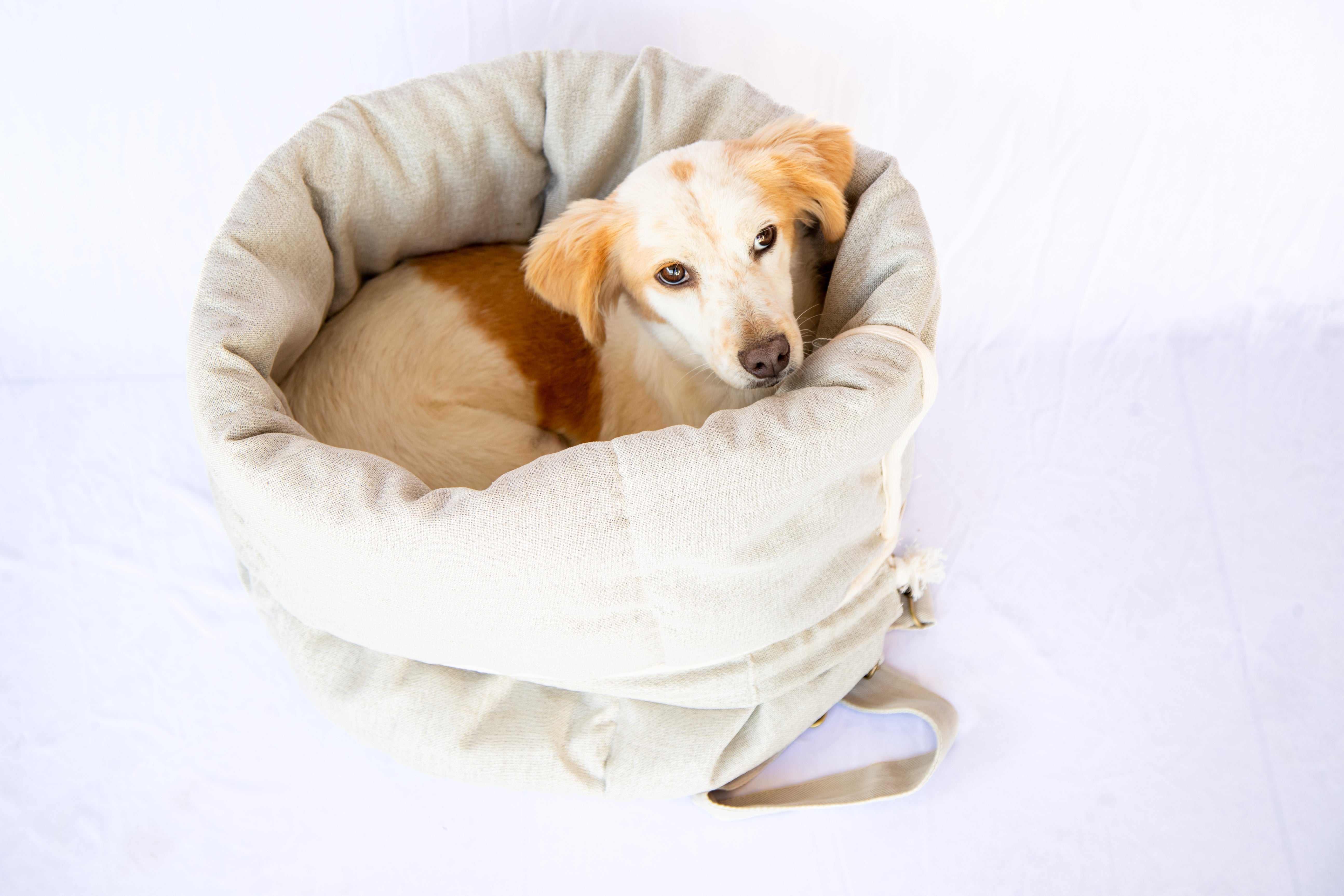 SACO FAROFA - COLLAB EMILIANO