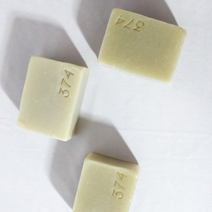 SHAMPOO SÓLIDO 374 PETS