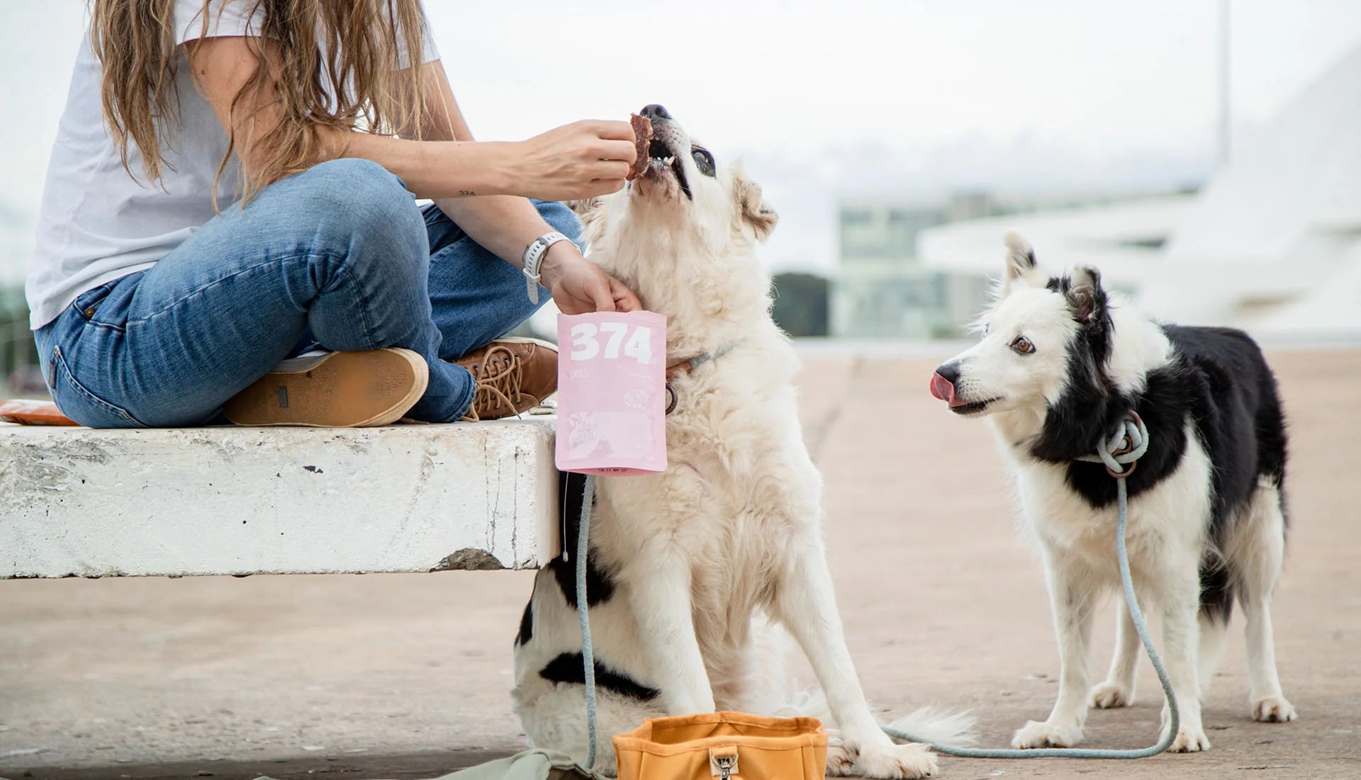 snacks desidratados 100% naturais