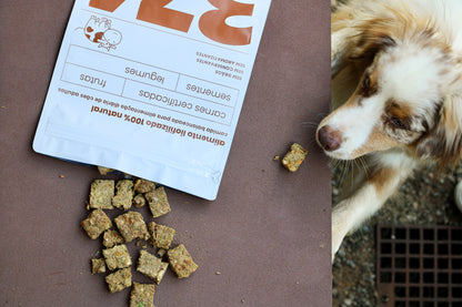 COMIDA NATURAL 374 - BOVINA - 300G